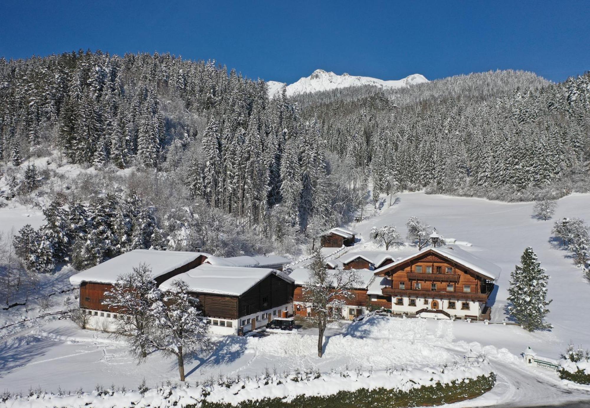 Moserhof Schladming Dış mekan fotoğraf